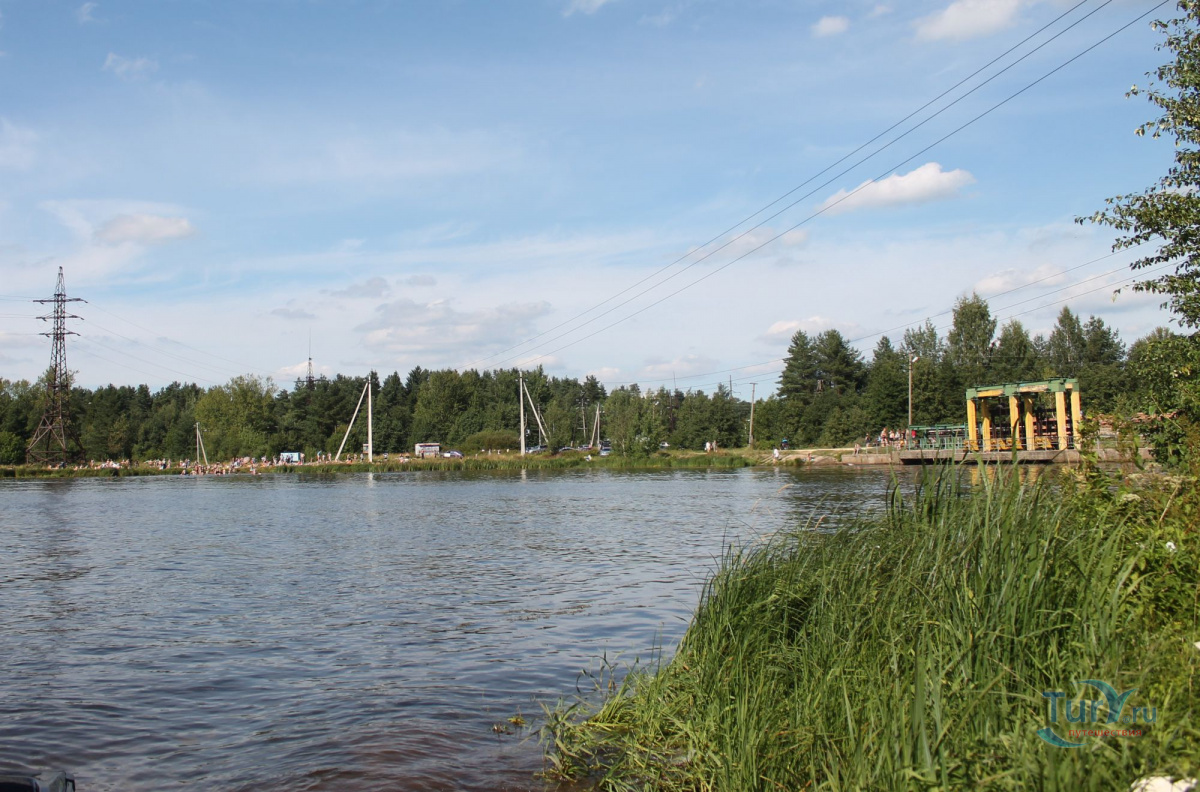 Жители Вырицы отстояли общественную пляжную территорию на реке Оредеж